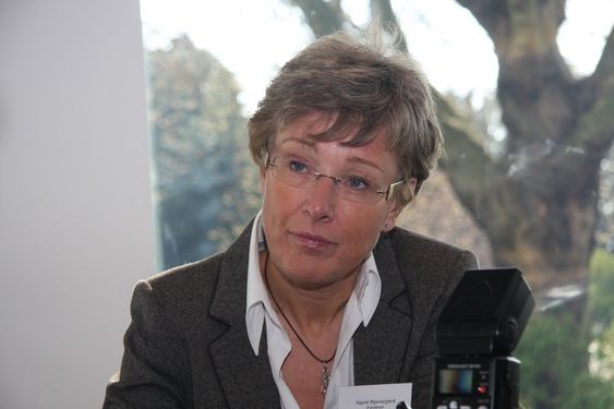 TAR TID: - Sima-Samnanger er en stor beslutning, som tar tid, sier statsekretær Sigrid Hjørnegård.