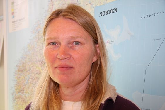 Havariinspektør Elisabeth Juel Ramos, Statens Havarikommisjon for Transport (SHT).