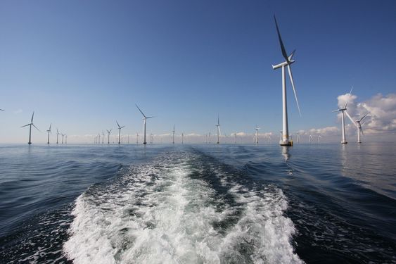Havvind. Lillgrund Sverige vindpark Vattenfall 100 MW bunnfaste vindmøller