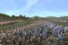 Medieval II: Total War