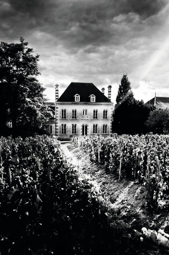 Druene til Vieilles Vignes Françaises kommer blant annet fra denne parsellen.