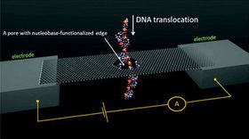 DNA-sekvensering kan potensielt gå unna i en fei ved hjelp av kjemisk modifisering og grafén.  
