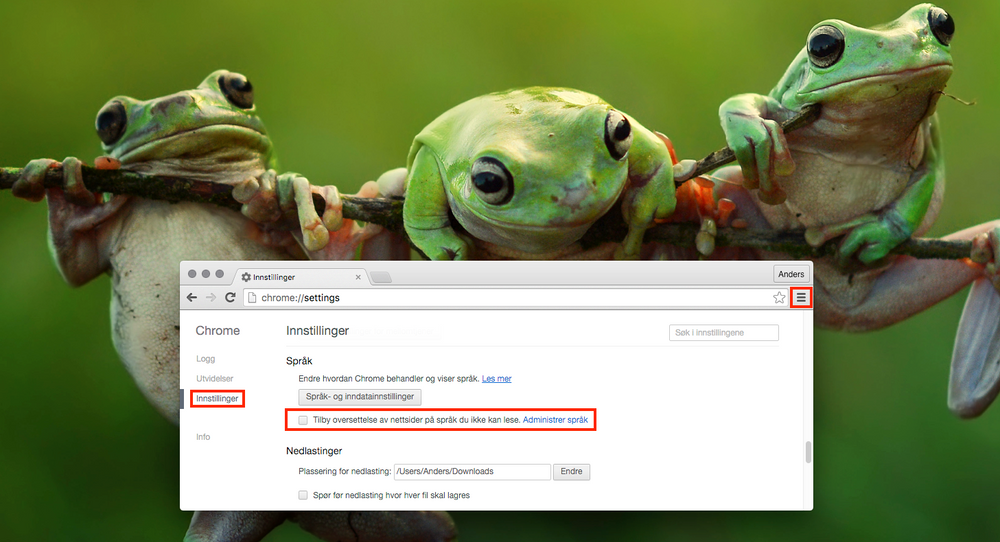 Froskene sjekker at oversettingsboksen er tom for å stoppe oversettingskvakket til Chrome.