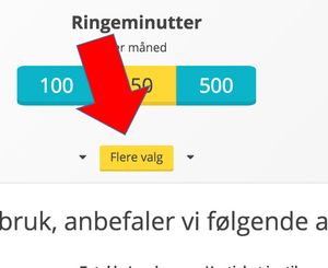 Savner du flere valg. Klikk på «Flere valg»-boksen.