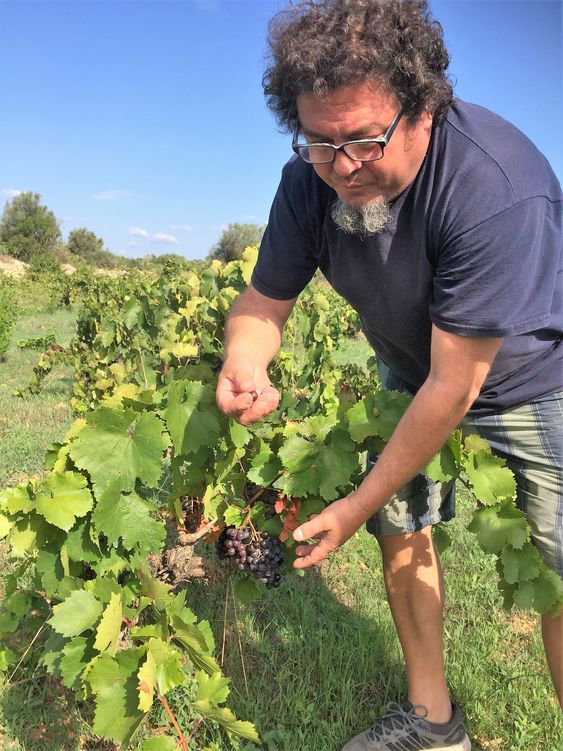 Miquelàngel Cerda i vinmarken.