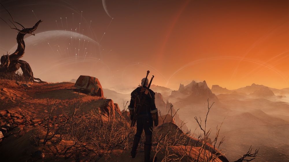 The Witcher 3: Wild Hunt.