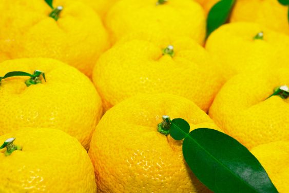 Yuzu ser ut som en mellomting mellom mandarin og sitron.