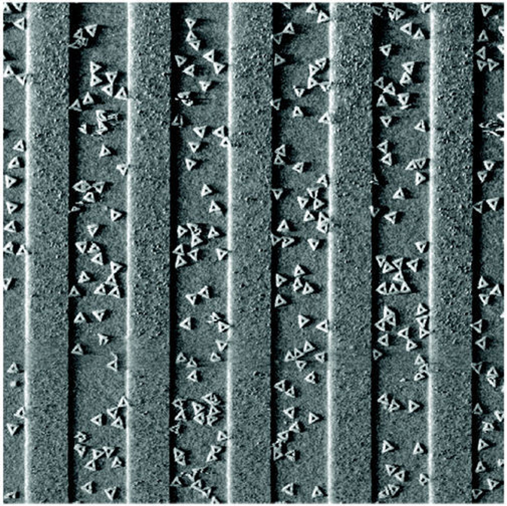 IBM-forskere bruker DNA-origami som stillaser for å bygge små kretskort. Bildet viser triangelformede DNA-nanostrukturer som er knyttet til brede linjer på en litografisk mønstret overflate.