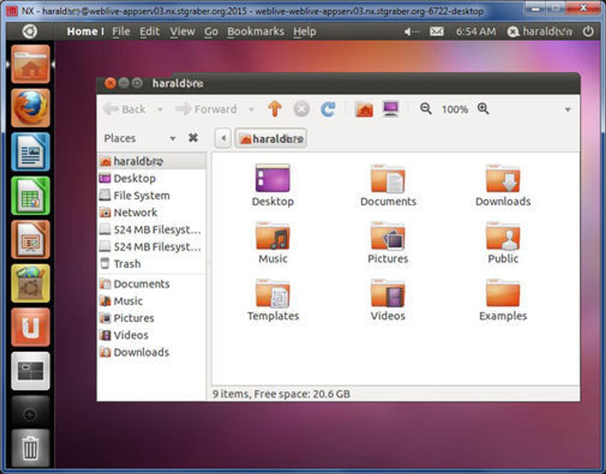 Test av Ubuntu 11.04 i et nettleservindu.