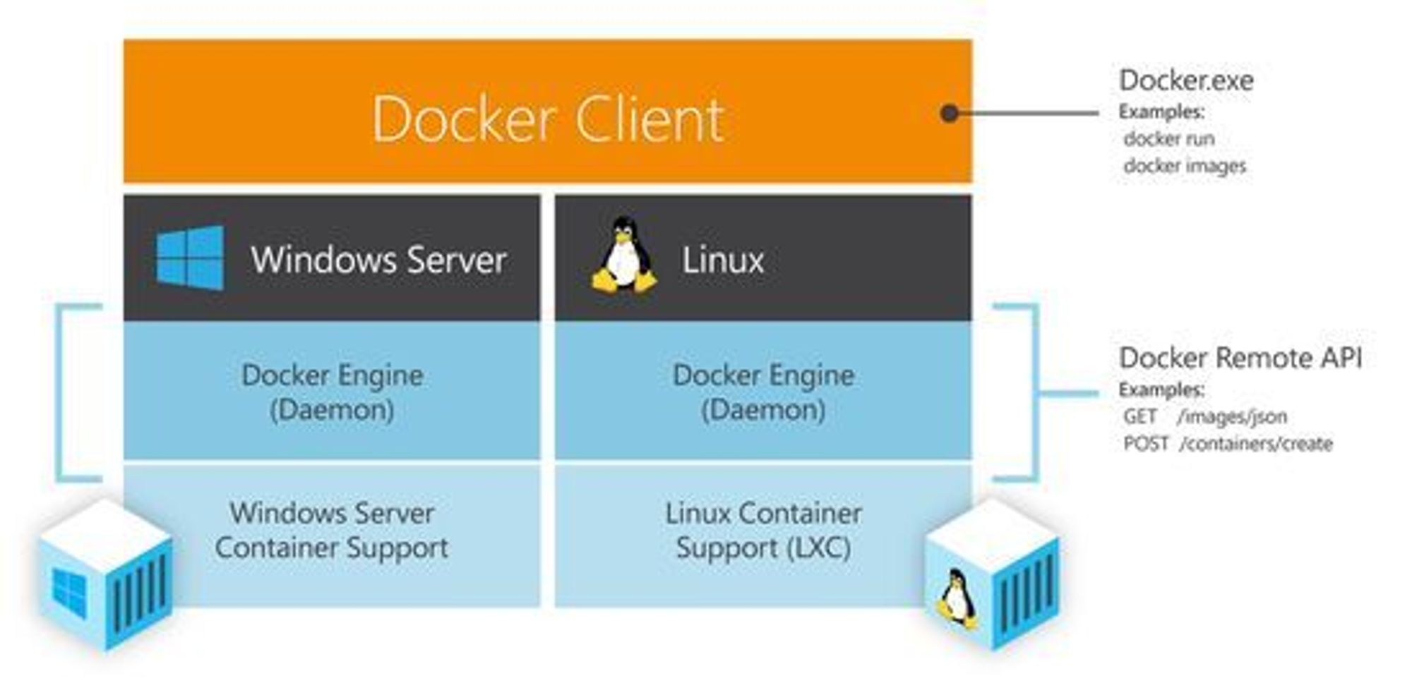 Docker-klienten vil være felles for både Linux- og Windows-baserte Docker-oppsett.