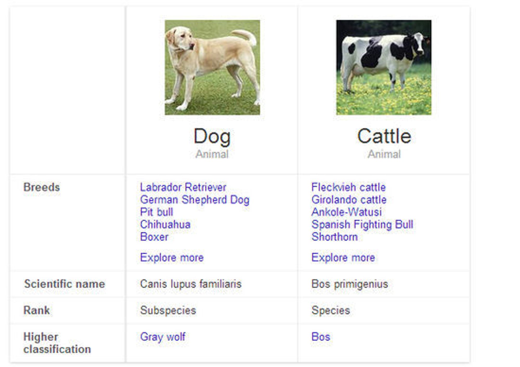 Det er nå mulig å få Google til å vise en grov sammenligning av for eksempel ulike husdyrarter.