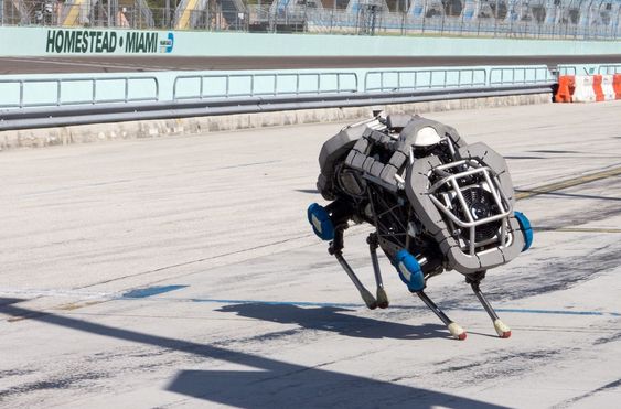 WildCat er en ny versjon av Cheetah-roboten til Boston Dynamics.