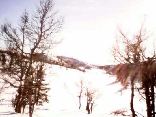Dette var det beste ut av fem stillbilder i motlys fra Syma X5SW.