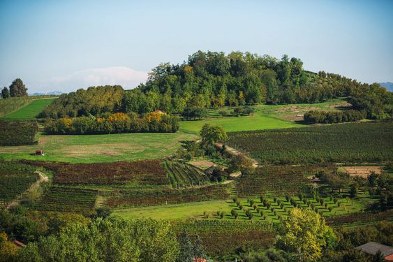 Fra Barbaresco.