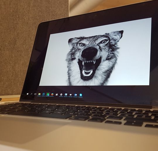 Maskinvaren jeg foretrekker sammen med programvaren jeg foretrekker. Windows 10 har jeg blitt glad i, selv om det har en og annen særhet det også.