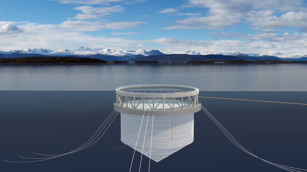 Illustrasjonen viser den halvt nedsenkbare laksemerden Norway Royal Salmon vil teste ut ytterst i Øyfjorden på Senja.