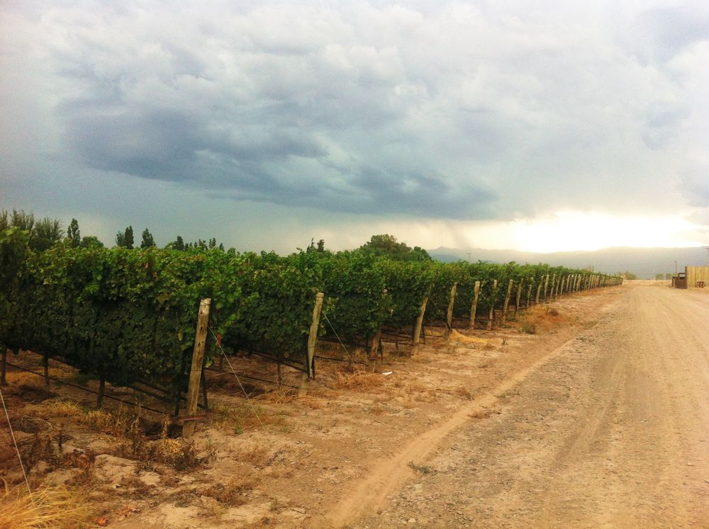 Mendoza.