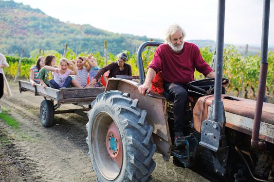 En traktor slipper selv ikke Valli Unite unna.