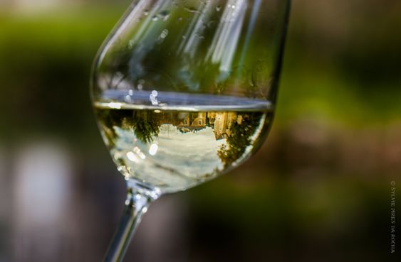 Muscadet wine.