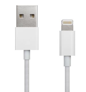 Apple Lightning-plugg er kompatibel med iPhone og iPad, og det er det hele. I neste generasjon iOS-produkter kan pluggen til høyre være den eneste utgangen vi får.