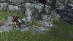 Tamriel Online har ingen begrensingar på kor mange som kan spele saman.