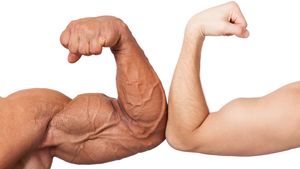Biceps.300x169.jpg