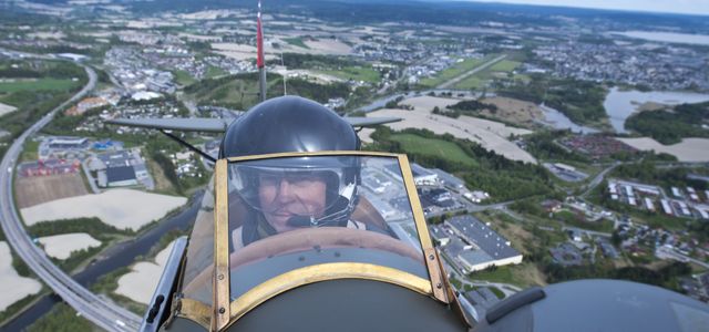 Veteranfly får friere ferdsel