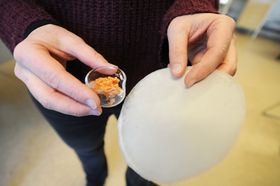 Fra avfall til innovativ nytt produkt. Papirindustrien har vist interesse for forskerne i Luleås materiale laget av nanocellulose basert på biproduktet fra gulrotjuice-produksjon.