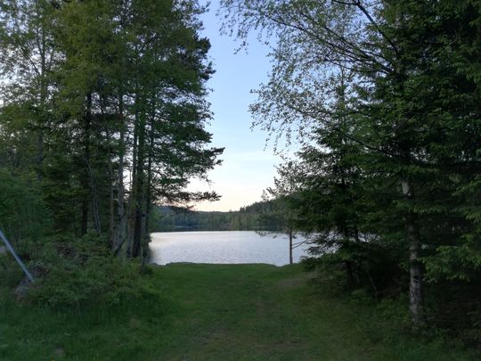 Det skjer ofte noe med fargene når lyset svinner, og støyen melder seg forholdsvis tidlig når du fotograferer med P9 Lite. Men det er mulig å få gode bilder fra den også, om forholdene er riktige.