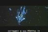 Titan A.E.