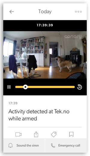 I 90 prosent av tilfellene vi fikk et varsel om at kameraet hadde sett noe, var det hunden som gikk forbi - noe som er verdt å tenke på når du skal plassere kameraet.