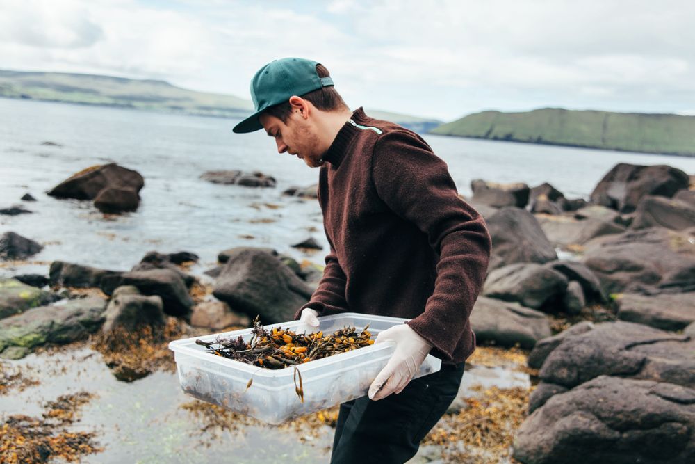 Poul Andreas Ziska henter sjømaten selv.