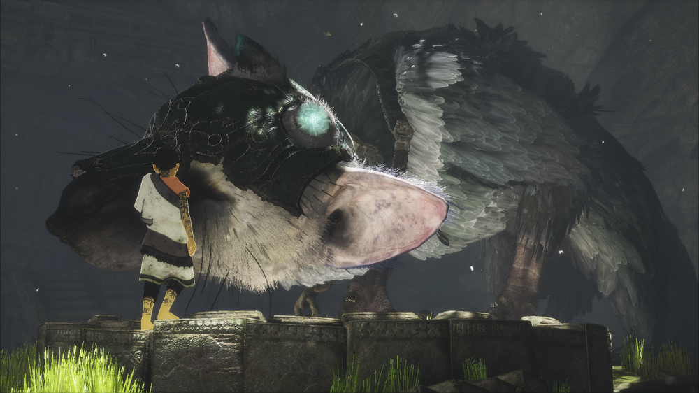 Forholdet mellom gutten og Trico står sentralt i The Last Guardian.