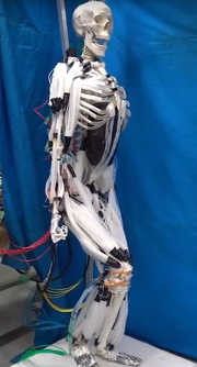 Slik ser roboten ut i fullfigur.