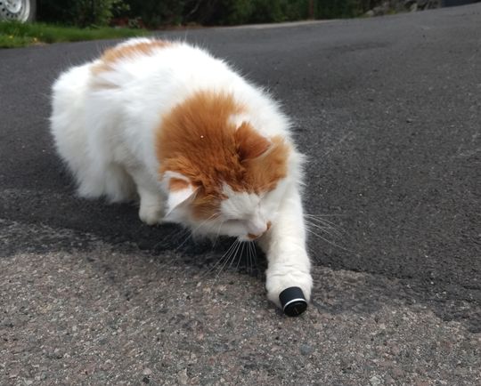 Hva er dette, da? Ekstrabatteriet som hører til Pod Tracker utforskes nøye av Plumbo. Det byttes med en skrumekanisme som er såpass treg at man må være veldig forsiktig for å ikke legge vekt på selve brikken og halsbåndet den sitter i.