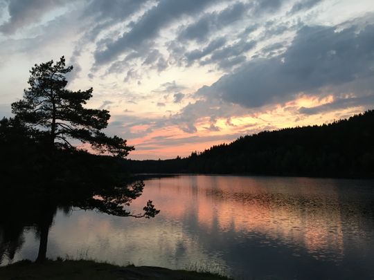 Apples iPhone 6S Plus er ofte en vanskelig telefon å vurdere. Den kan ta virkelig gode bilder, men det forutsetter ofte en hel del flaks med både omstendigheter og lysforhold.