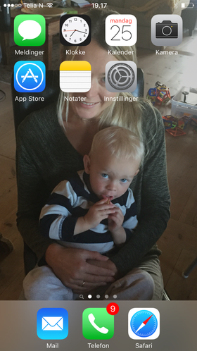 Hjemskjermen til Basefarm-lederen holdes enkel.