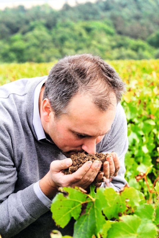 Julien Brocard i vinmarken der han trives best.