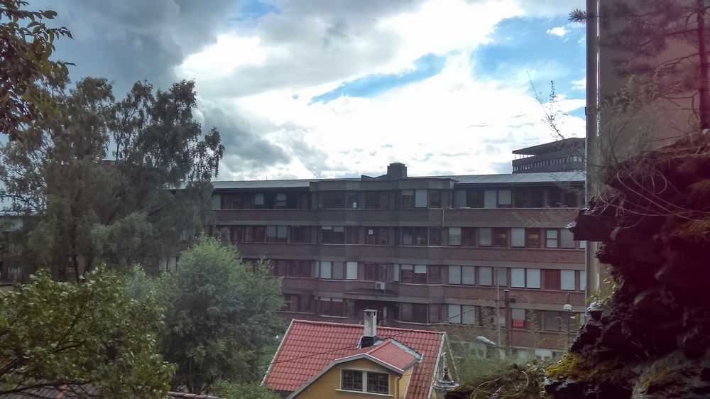 Bildene fra Desire 530 byr på dårlig fargegjengivelse og detaljomfang. Førstnevnte synes tydelig til høyre i bildet (treet og klippen), mens de utsmurte detaljene synes godt i trærne til venstre. Bildet er tatt med HDR, men selv da er himmelen utbrent.