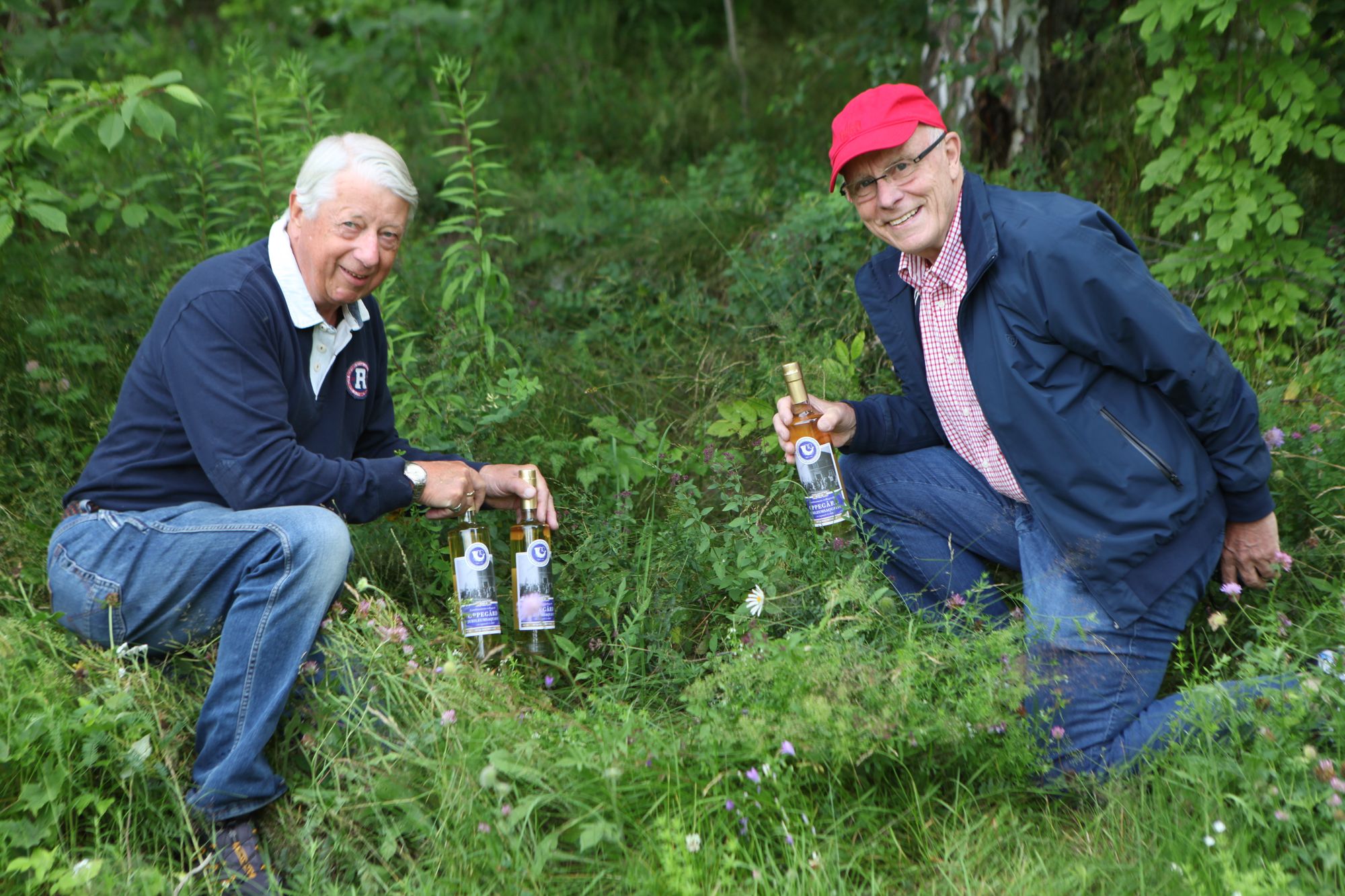SMAKFULL BERGMYNTE: Torleif Bjøntegaard og Pål Christian Michelet i Landstormens akevittkomite sitter gjerne på huk for å finne urter til akevitten.