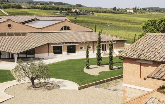 Montepulciano-eiendommen er den største med i alt 84,5 hektar vinmarker.