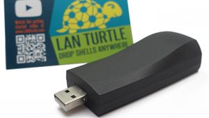 lanturtle.300x169.jpg