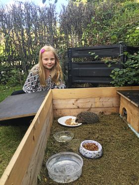 STAS MED PINNSVIN: Oda (9) elsker familiens to pinnete kosedyr.