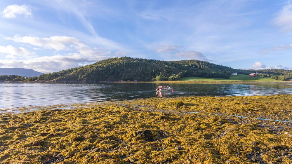 DJI gir oss i det minste RAW-filer å leke oss med, men vi skulle ønske vi fikk mer ut av dem. De fungerer greit på relativt små formater som her, men hvis du åpner bildet i full størrelse på en PC-skjerm kommer svakhetene til syne. 1/490s - f/2.8 - ISO 100. Optimalisert fra RAW.