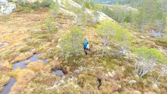 Active Track baserer seg på at dronen «ser» det den skal følge, så hvis motivet for eksempel forsvinner bak et tre, mister dronen sporet .