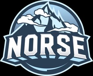 Slik blir logoen til Norse.
