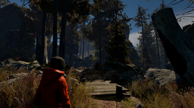 Through The Woods.