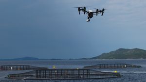 MulticopterImageMaritimeRobotics-SINTEFf