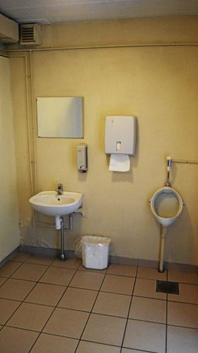 SLITT: Toalettanlegget og hele kjelleren trenger også en kraftig oppussing.