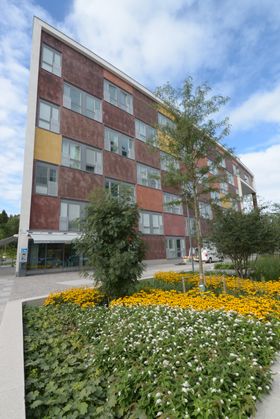 Grønt: Hjorthagen er det miljømessig ambisiøse området i Norra Djurgårdsstaden. Et urbant og attraktivt lokalsamfunn med gode offentlige rom og innovative grønne løsninger tar form.